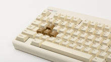 Load image into Gallery viewer, close up on left side of GMK CYL Rainbow 6 Siege - Winner's Circle on a Beige CLASSIC-TKL 