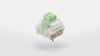 BOX Jade