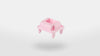 Modified POM - Pink