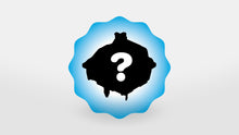 Load image into Gallery viewer, render of a switch with aquestion mark indicating that the switch sent will be randomly chosen